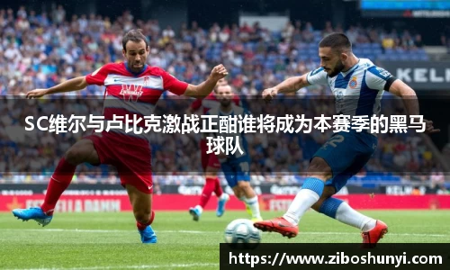优游国际ub8